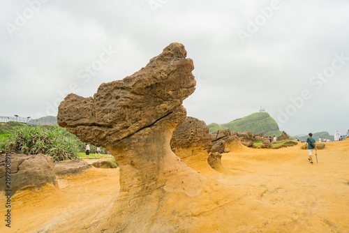 Special rocks in Yehliu Geopark