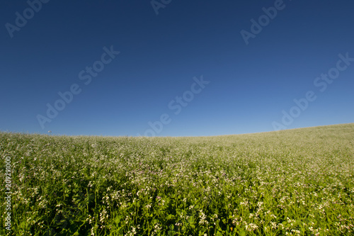 Farm