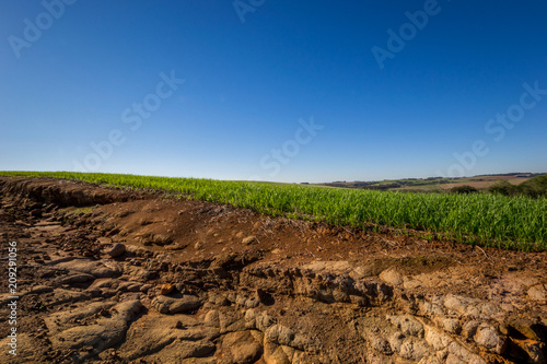 Farm