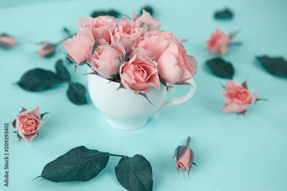 Obraz pink rose in a cup on a mint background