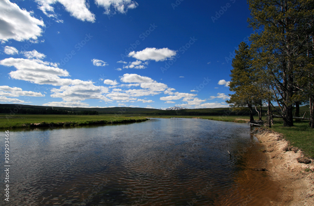 The Gibbon River flowing through Gibbon Meadows in Yellowstone National Park in Wyoming United States The Gibbon River flowing through Gibbon Meadows in Yellowstone National Park in Wyoming United States