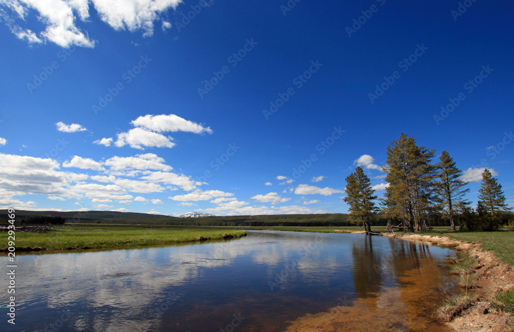 Gibbon River winding through Gibbon Meadows in Yellowstone National Park in Wyoming United States