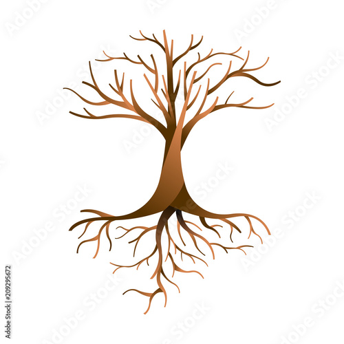 Empty tree isolated with branches and roots