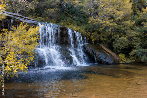 Fototapeta Naklejka Na Ścianę i Meble -  Selective waterfall in Wentworth Falls at Blue Mountains, one of popular attraction travel places in Australia.
