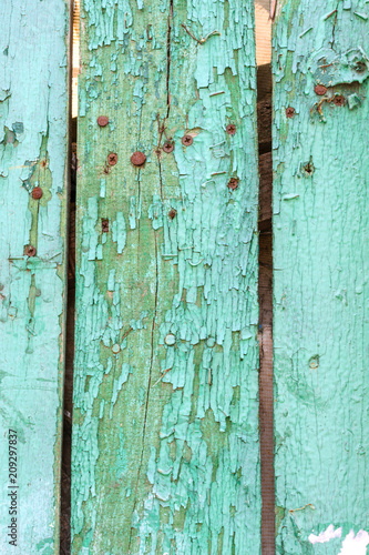 Fragment of old green peeled wooden planks. Layer of old cracked paint. Use for design background.
