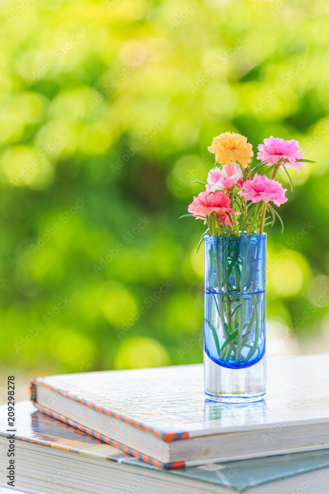 Moss rose flowers in a vase on a books with nature background. Stock Photo  | Adobe Stock