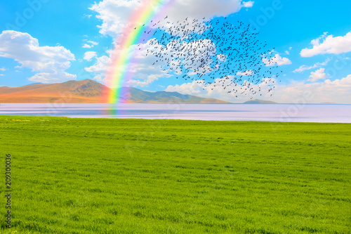 Green grass field and bright blue sky with rainbow