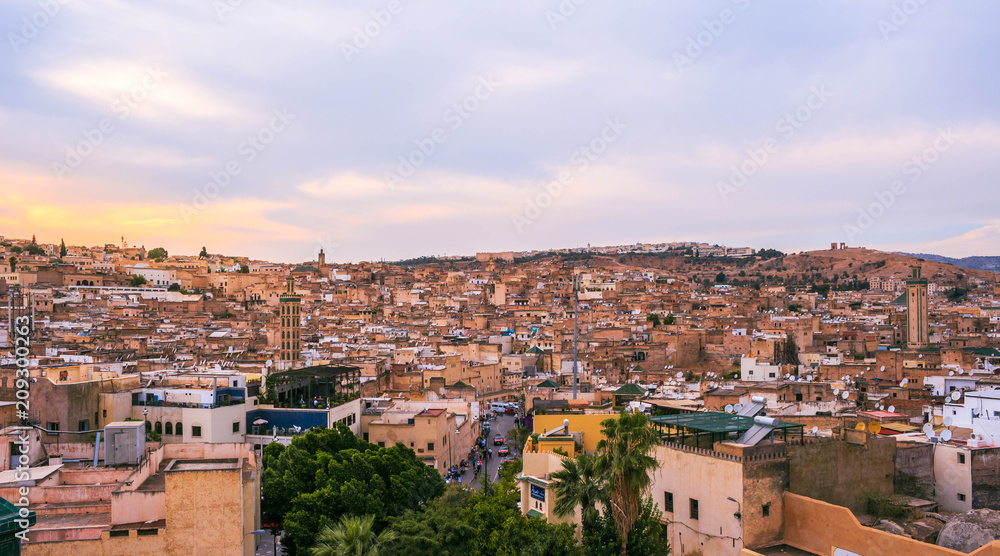 Panoramic view of the Medina of Fez in Morocco