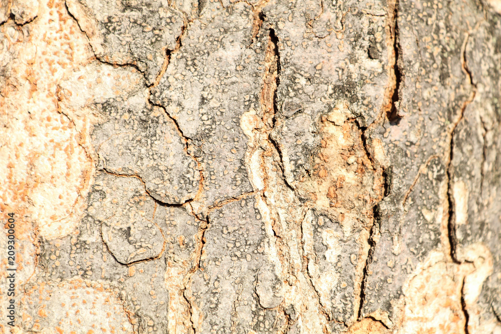 Naklejka premium background