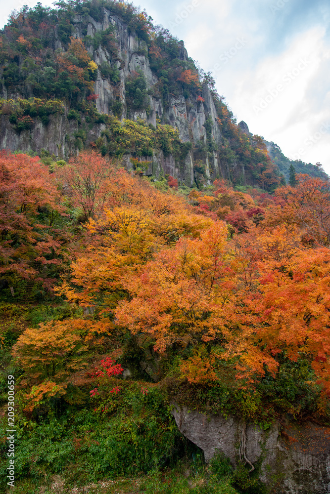 大分県耶馬溪の紅葉 大分県耶馬溪の紅葉