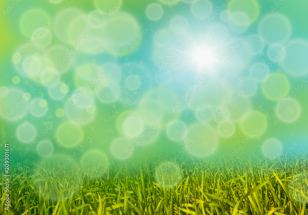 Green grass background with bokeh and rainbow