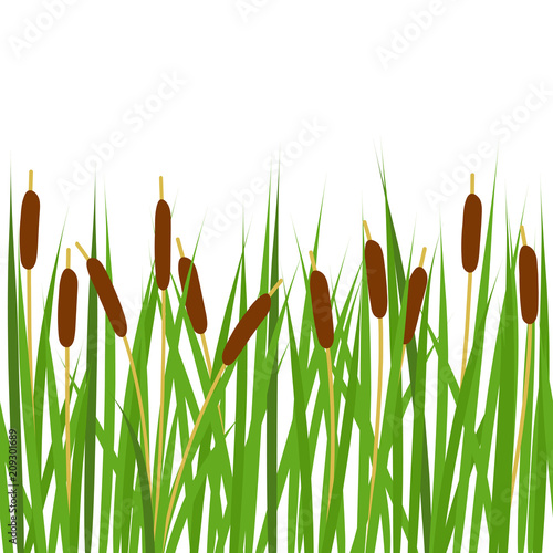 Seamless border with reeds.