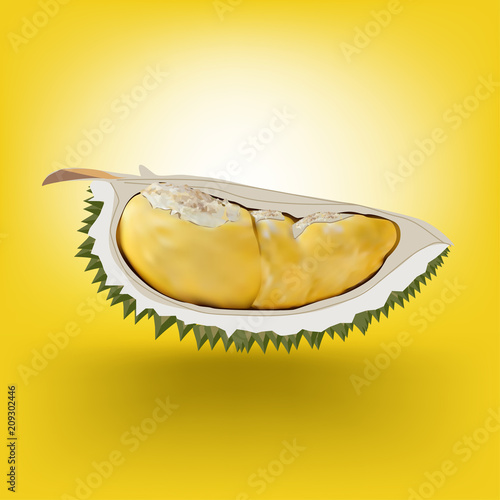 Fresh Durian fruit vector style on yellow background