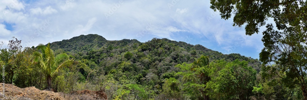Jungle Landscape views from the rural small village road to El Eden by Puerto  Vallarta Mexico where Predator the movie with Arnold Schwarzenegger was  mostly filmed Stock Photo | Adobe Stock
