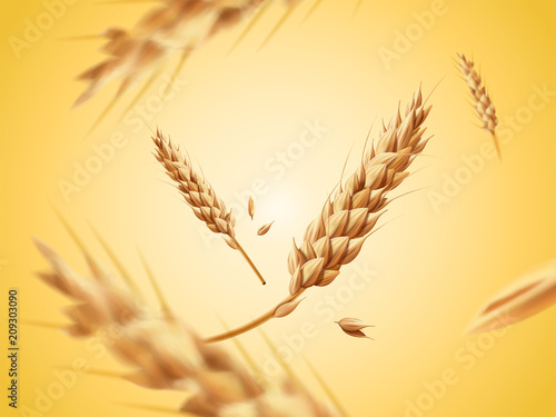 Flying wheats ingredient photo