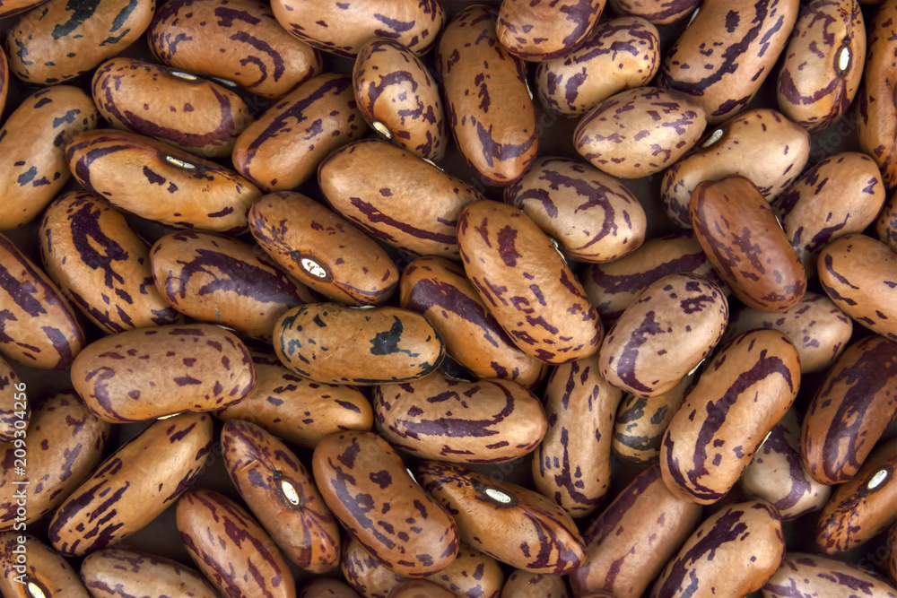 Haricot bean close background with high resolution Haricot bean close background with high resolution