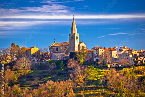Idyllic hill village of Groznjan panoramic view