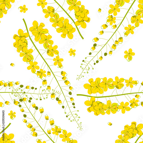 Cassia Fistula - Golden Sho...