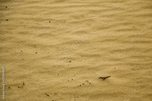 Sand pattern texture. Sand texture background.