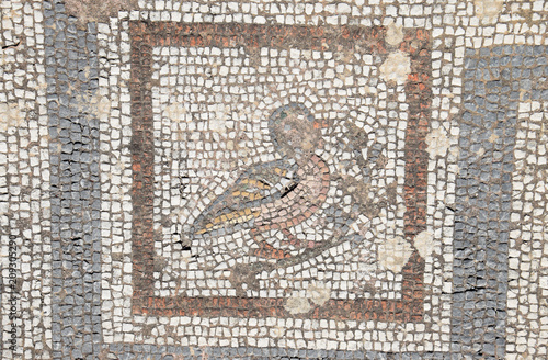 Mosaik in den Ausgrabungen von Kos