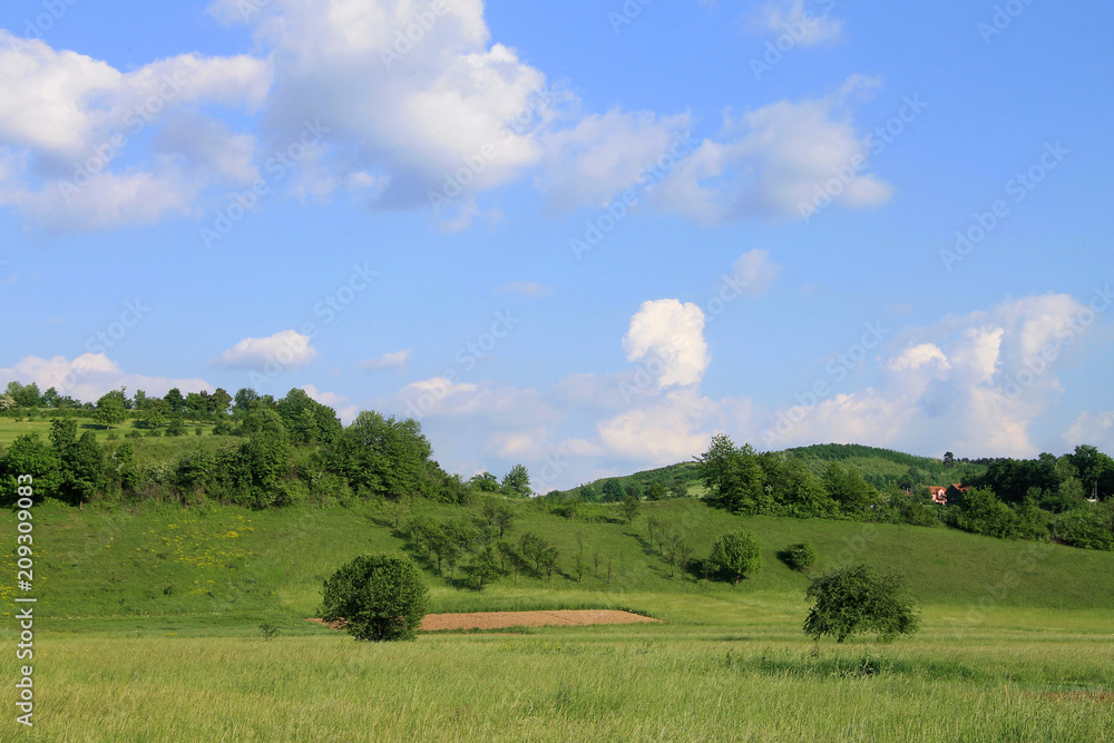 Spring green landscape with cloudy blue sky