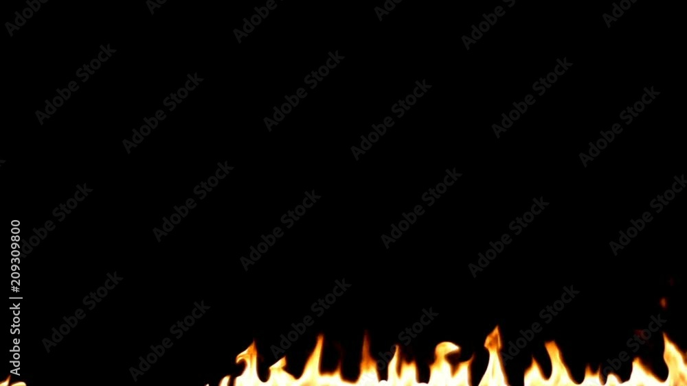 Realistic Fire Flames Igniting And Burning - Slow Motion. A line of real flames ignite on a black background. You can easily using Add or Screen transfer mode in your editing or compositing program. Realistic Fire Flames Igniting And Burning - Slow Motion. A line of real flames ignite on a black background. You can easily using Add or Screen transfer mode in your editing or compositing program.