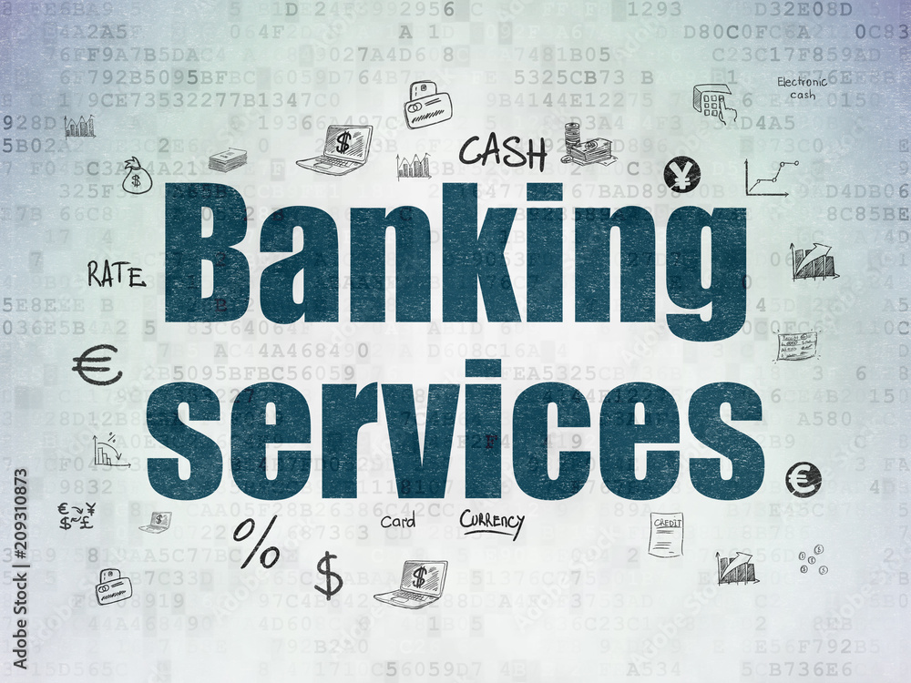 Money concept: Painted blue text Banking Services on Digital Data Paper background with Hand Drawn Finance Icons Money concept: Painted blue text Banking Services on Digital Data Paper background with Hand Drawn Finance Icons