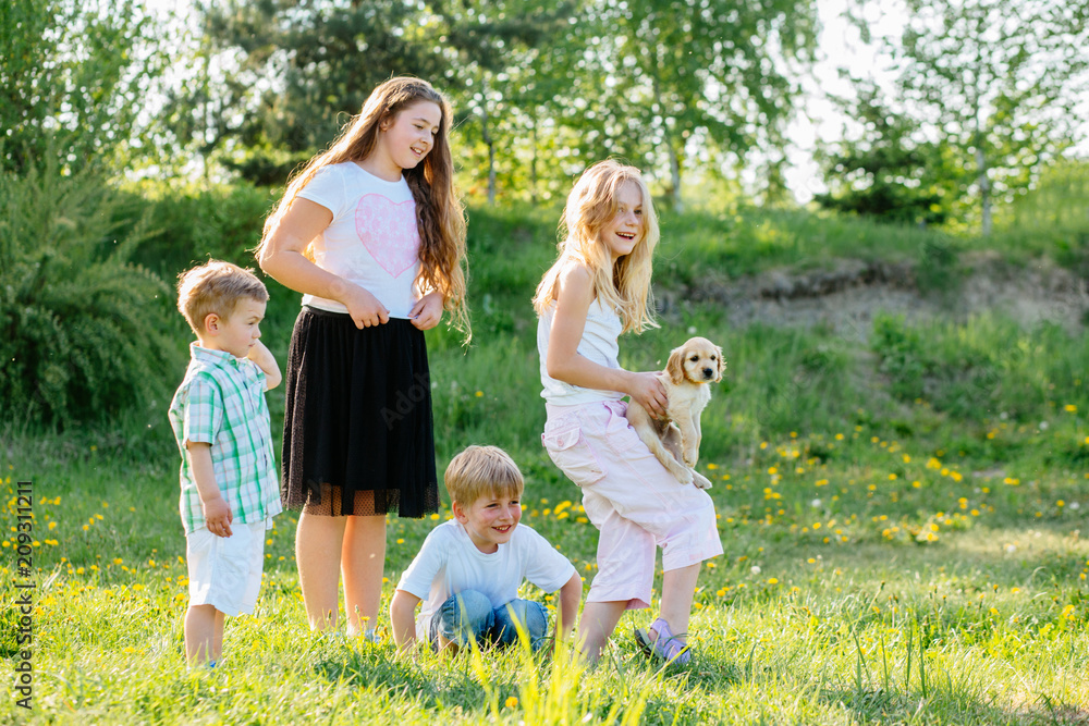 Fototapeta premium A group of four childrenlaughing, playing and caress little puppy dog gold spaniel in summer glade outdoor.