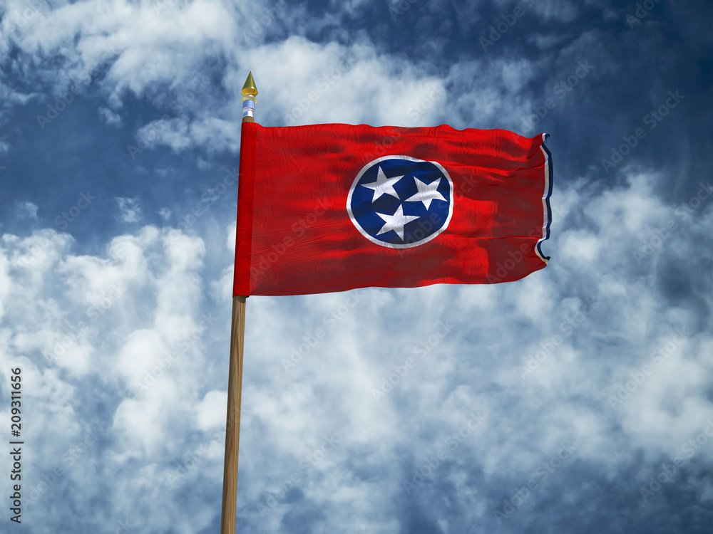 The Shocking Truth Behind the Design You Never Knew About the Tennessee Flag