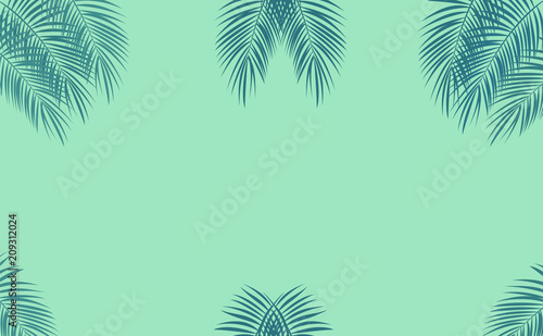 Colorful naturalistic frame from the leaf of the Libistones of Chinese  Southern palm . Vector Illustration.