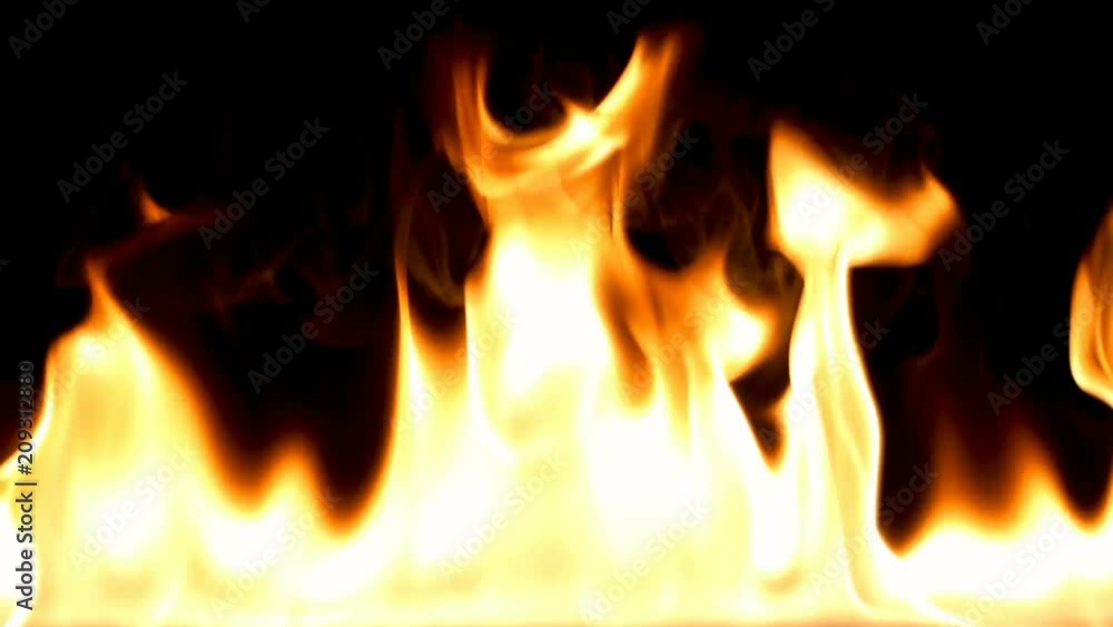Realistic Fire Flames Igniting And Burning - Slow Motion. A line of real flames ignite on a black background. You can easily using Add or Screen transfer mode in your editing or compositing program. Realistic Fire Flames Igniting And Burning - Slow Motion. A line of real flames ignite on a black background. You can easily using Add or Screen transfer mode in your editing or compositing program.