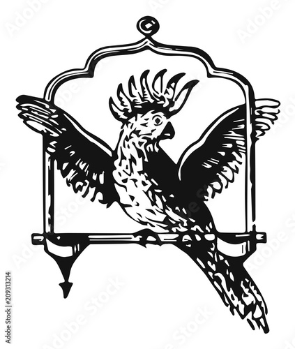 Cockatoo - Cacatuidae #vector #isolated - Kakadu Papagei