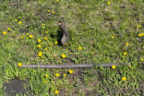 The End of the Shovel