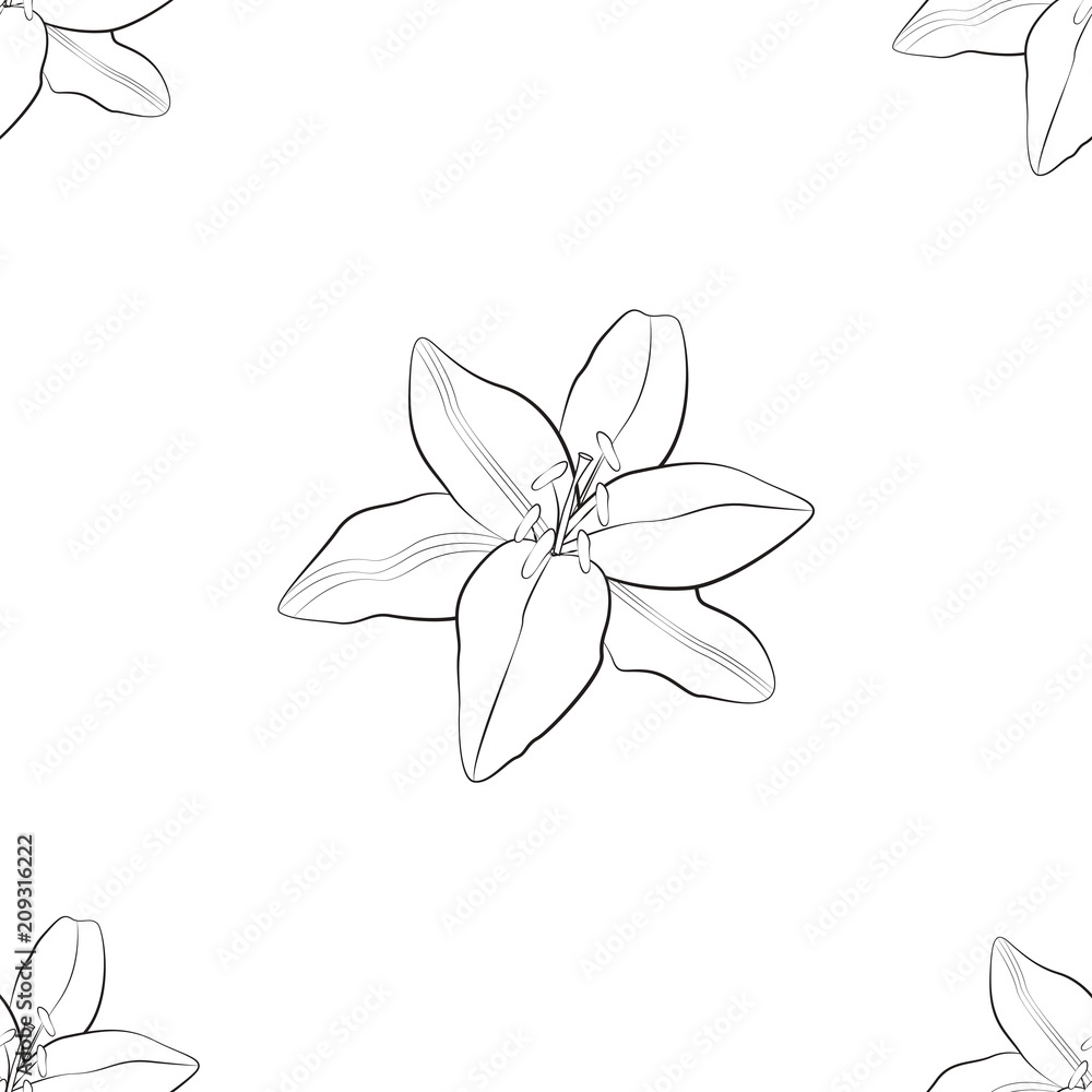 Contour pattern of white flower, seamless wallpaper