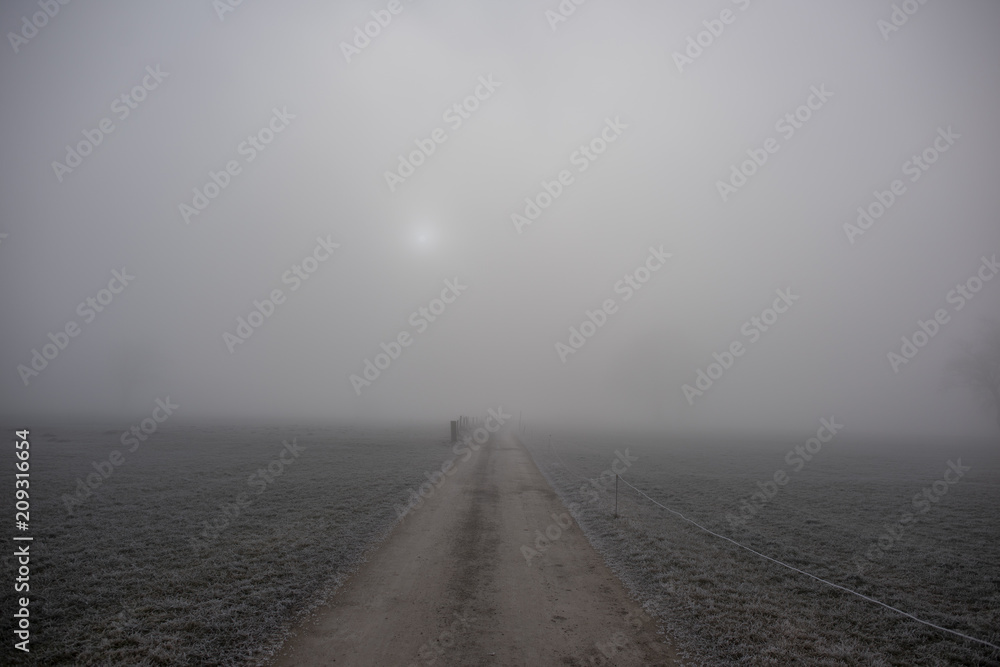 Weg im Nebel mit Sonne und Hund