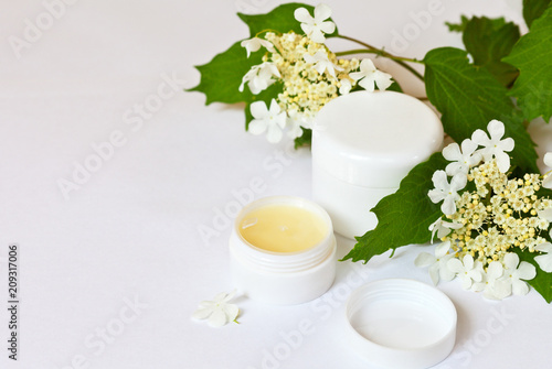 Natural moisturizing rejuvenating cosmetics, face cream with a viburnum extract and white guelder-rose flowers on a light background. Spring Still Life. Free space for text and advertising
