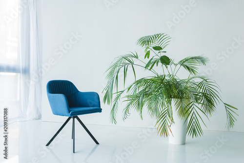 interior of living room with armchair and palm in pot