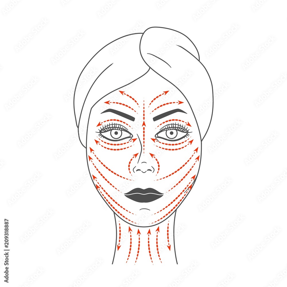 Schematic representation of facial massage lines.