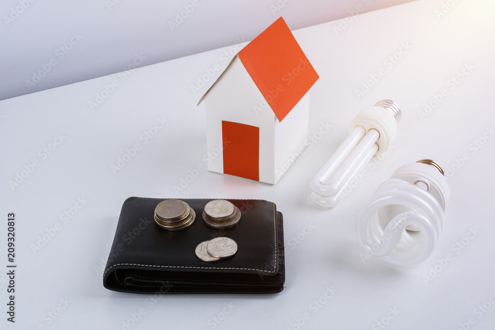 Energy savings lamp with wallet and coins, paper house model. Energy savings lamp with wallet and coins, paper house model.