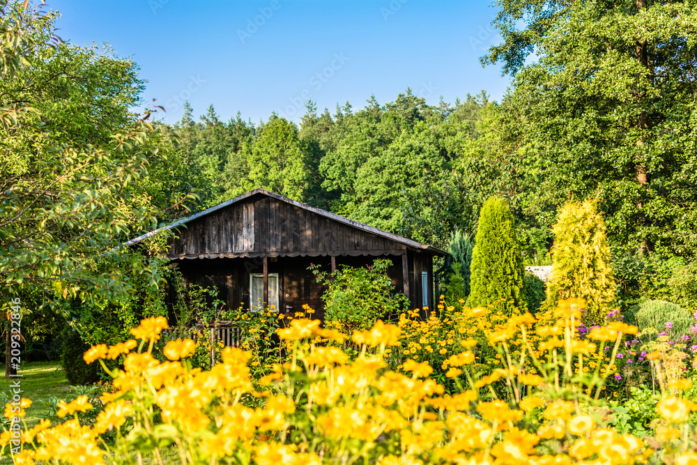 Summer cottage with flowers blooming in the garden, country landscape