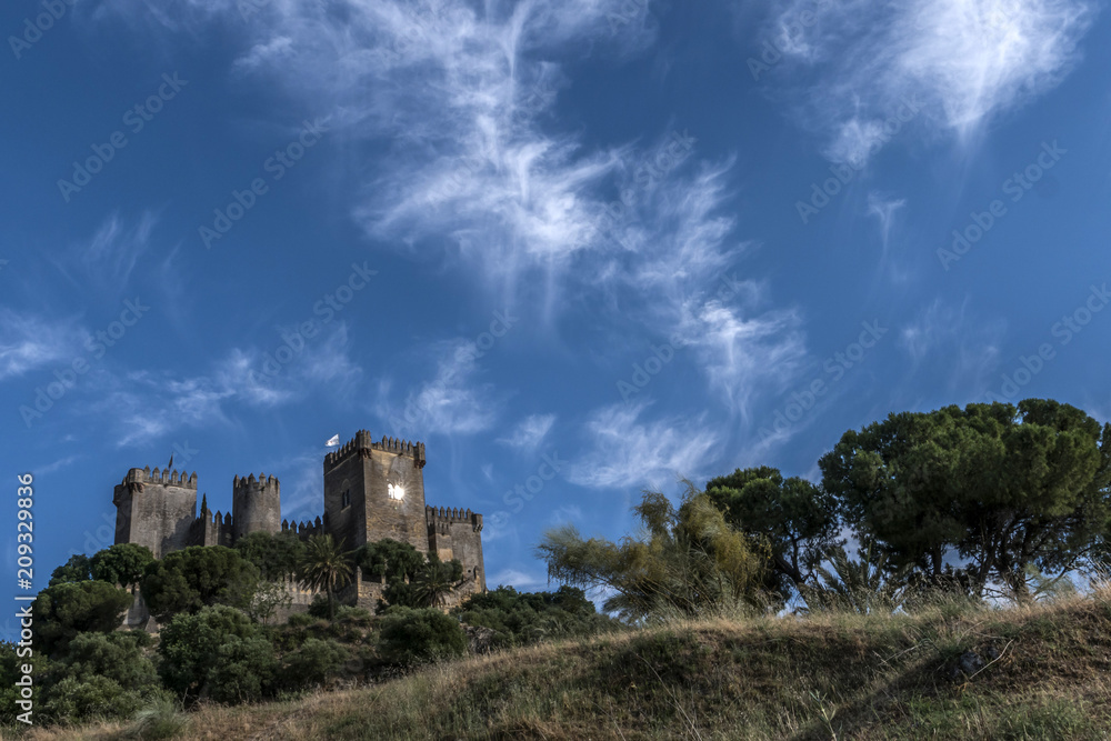 Castle of Almodovar del Rio, It is a fortitude of Moslem origin, it was a Roman fort and the current building has definitely origin Berber, take in Almodovar of the Rio, Spain