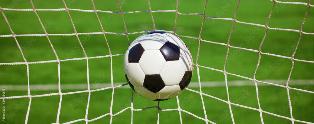 Fototapeta Piłka w siatce