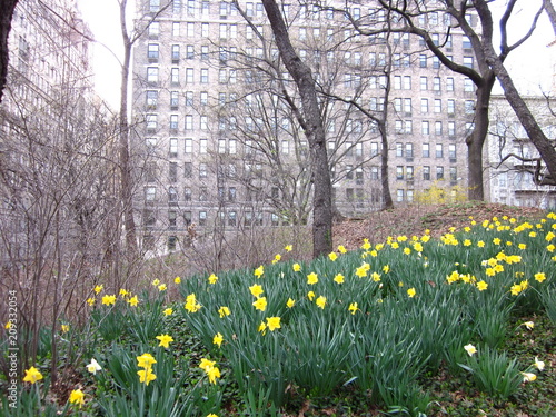 New York Central Park