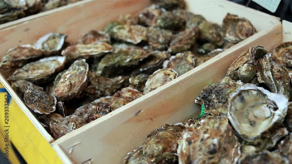 Variety of fresh oysters in wooden boxes on the shellfish counter at ...