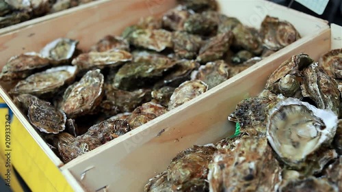 Variety of fresh oysters in wooden boxes on the shellfish counter at the fish market in Normandy, France. Seafood, typical food in coastal cities, fishing industry concept