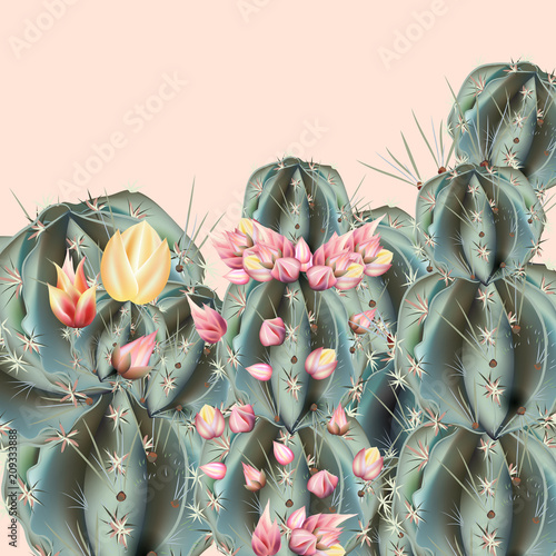 Fashion vector illustration with cactus plants