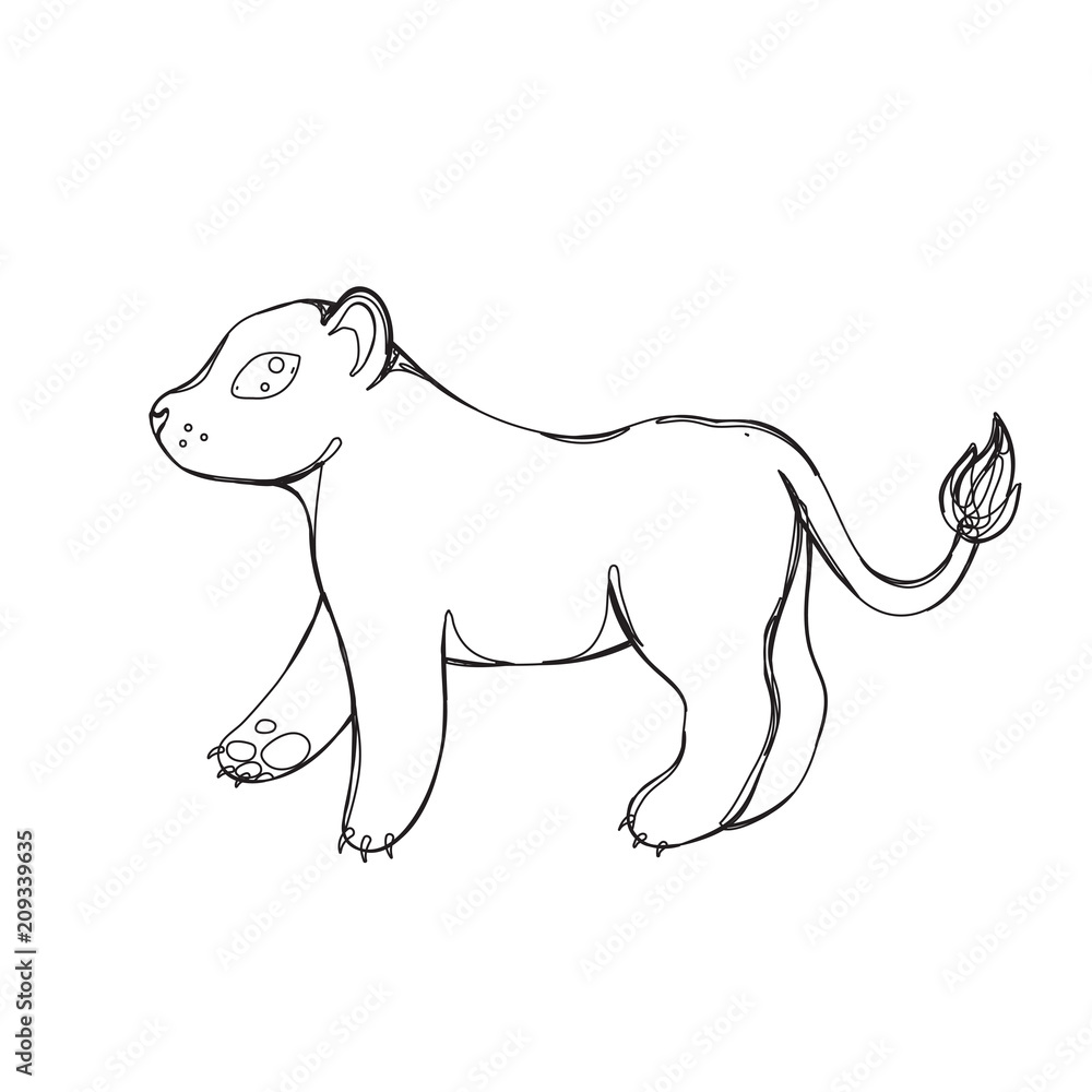 Fototapeta premium lioness in continious line graphic style