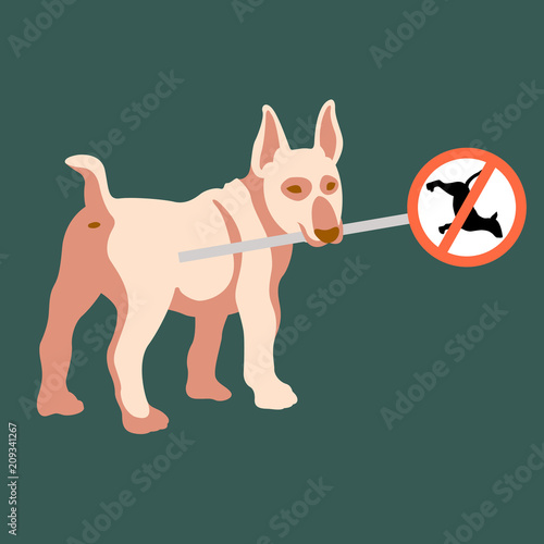 The dog holds a road sign in his teeth flat