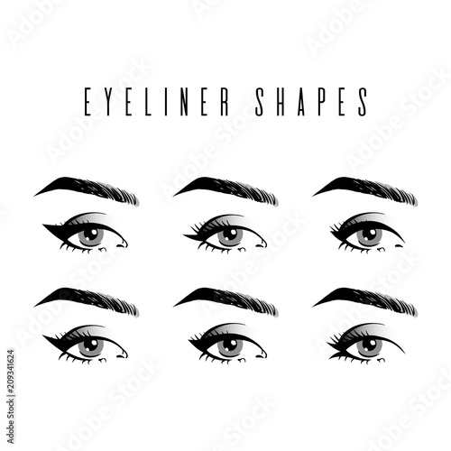 Eyeliner shapes. Various types of eyeliner, womens eyes, white background. Set of different vector eyeliner shapes. Cosmetic makeup. Collection of illustrations with captions. Makeup type info graphic