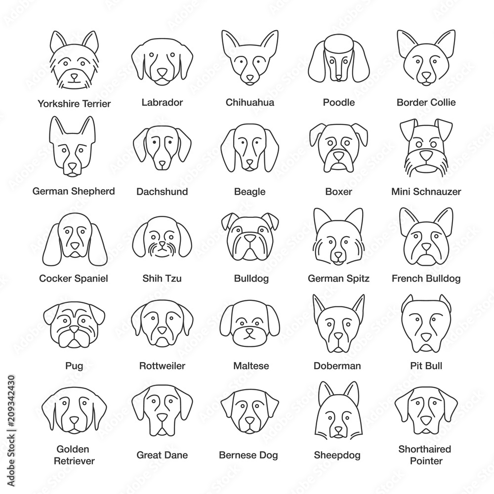 Dogs breeds linear icons set Dogs breeds linear icons set